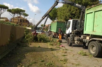 immagini telefono 208